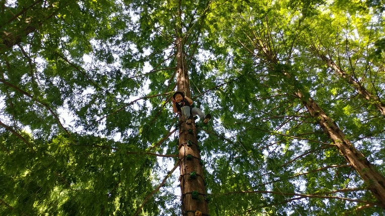 99198F3C5B57BED50A5817