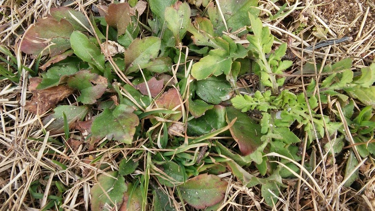 2344A14556C6C20C2AA18B