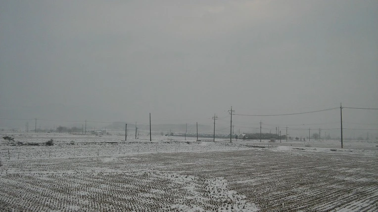 2239374056D10AF02975E1