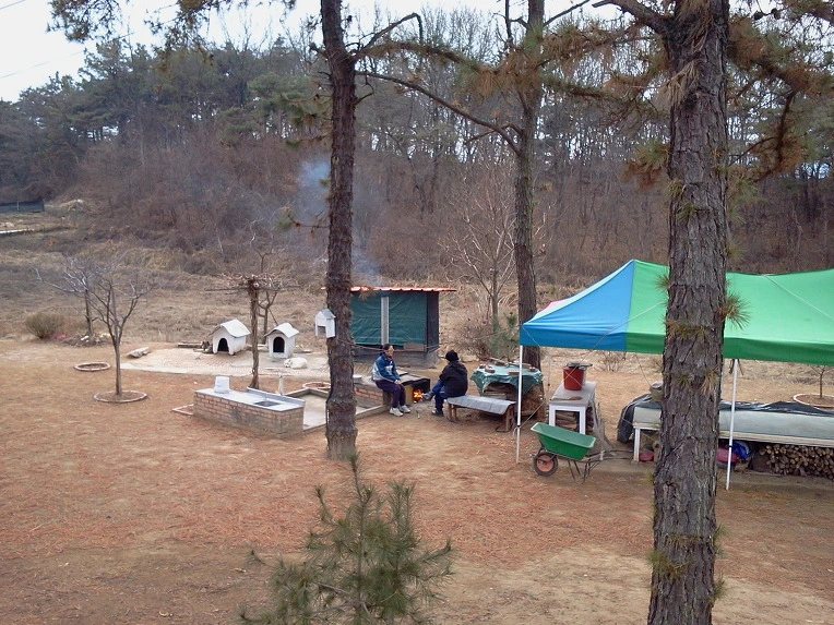 134AAE334F1947DC0353CA