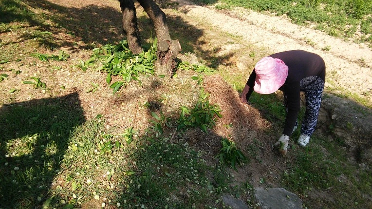 232DBB4B591BAEA60CEF47