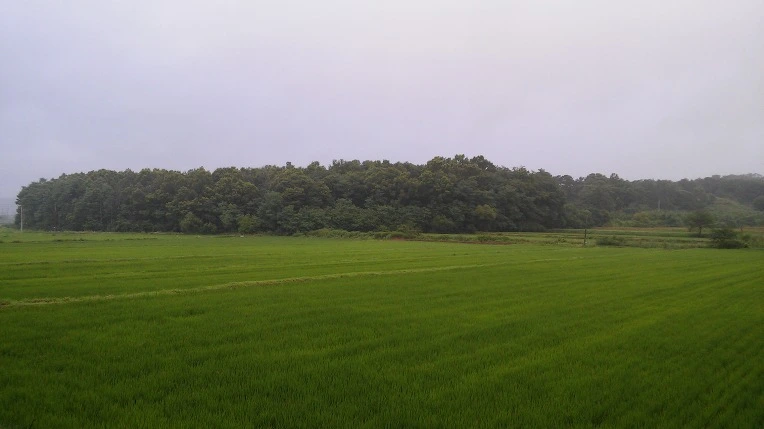 22080F41577706FE321544