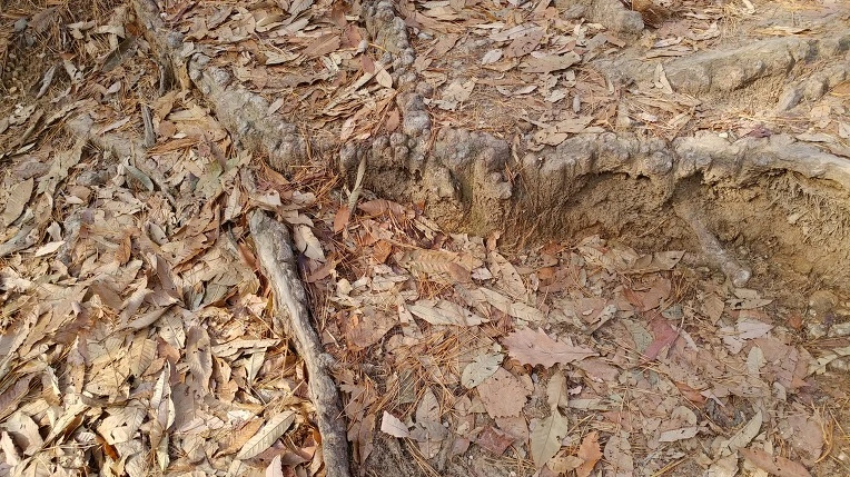 990E72445E48FF9E23BBE5