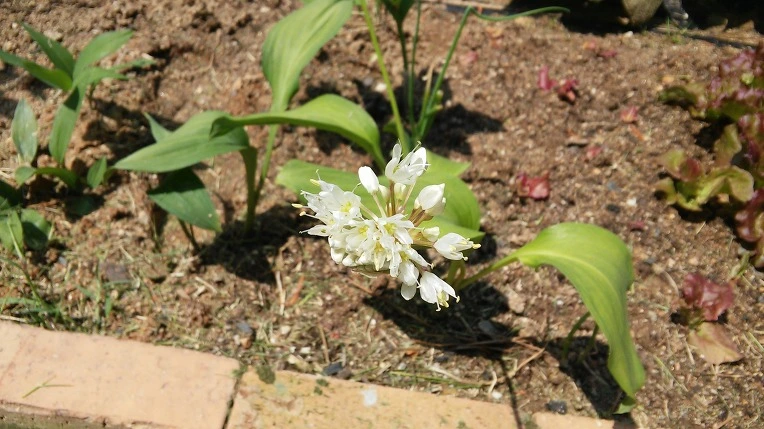 27040233573A59DE2C84FA