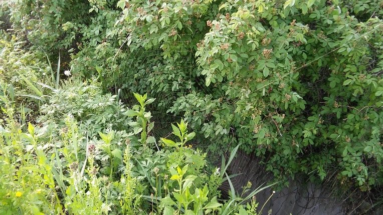 273DAC34572E66CE27E631