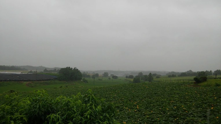 212294445779AFC1119C4B