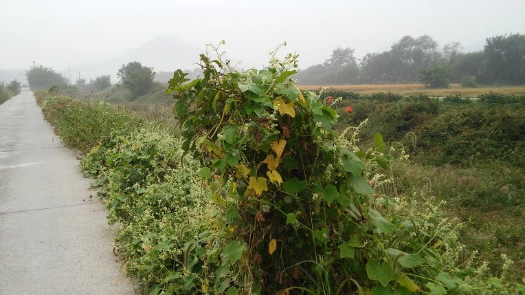 2261904957E701E721511B