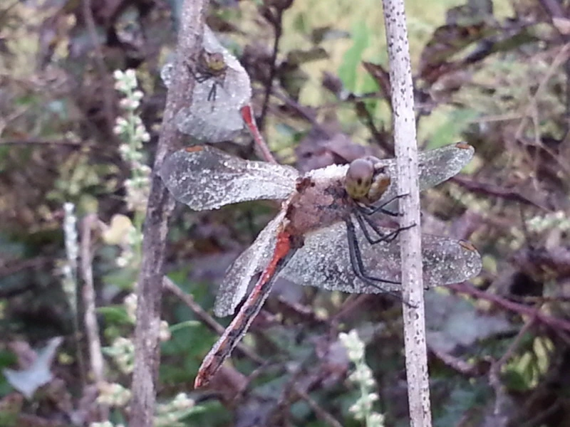 243F3246541A946E2F022D