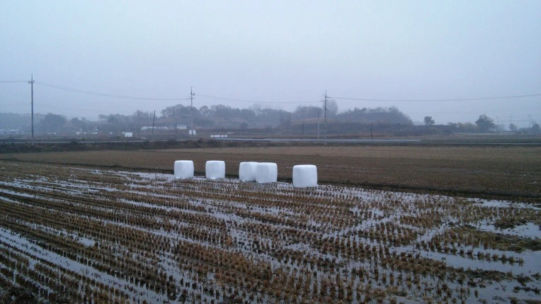 24292B4A564999A1055B76