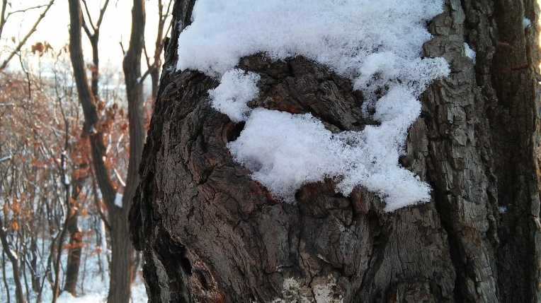 275A683D5696EF392D42D0