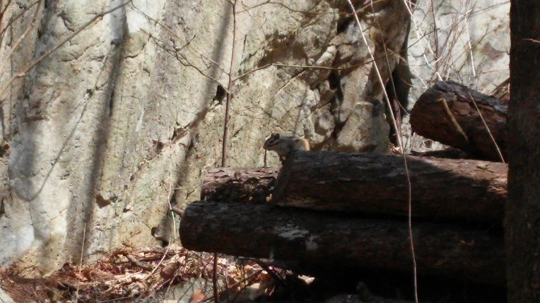 21710A48563698B3328FCC