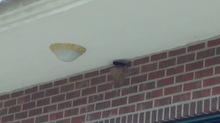 99AA6E465D467B2432EC06