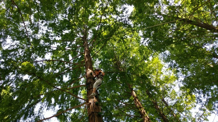 99450A385B57BFF021550E