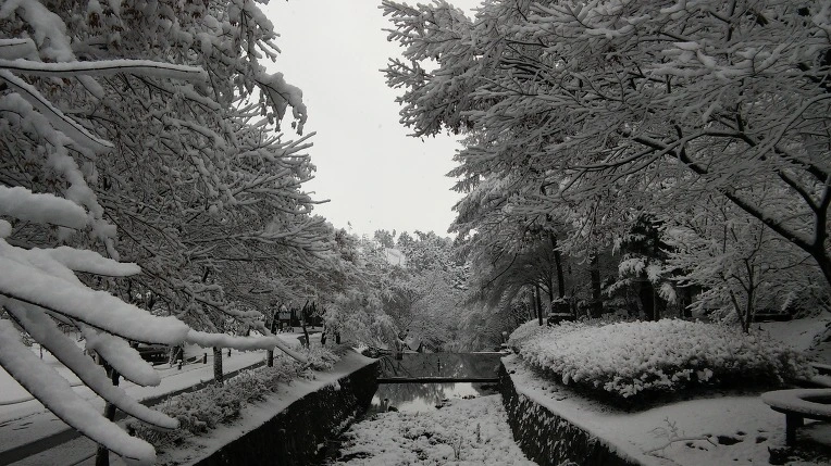 274E0133565F943F3272A7