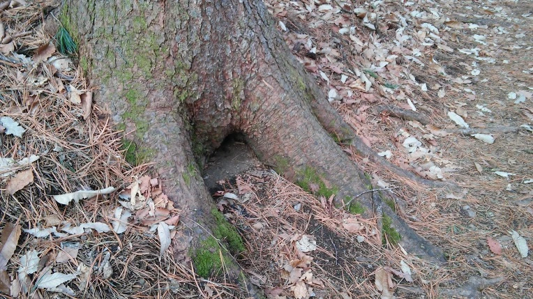 261BA84156EDE51D33661F