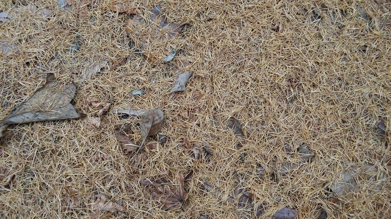 277D0D3C564D16E20748EC