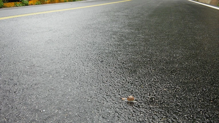 246AB74C5924D6C8350D88