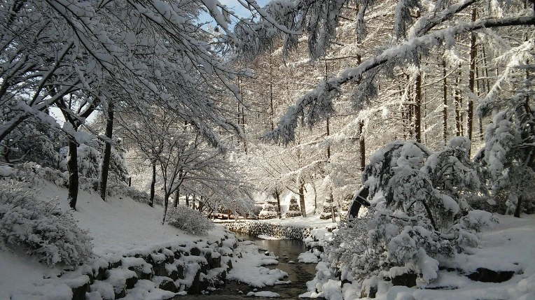 220E2644566120FB04EF3D