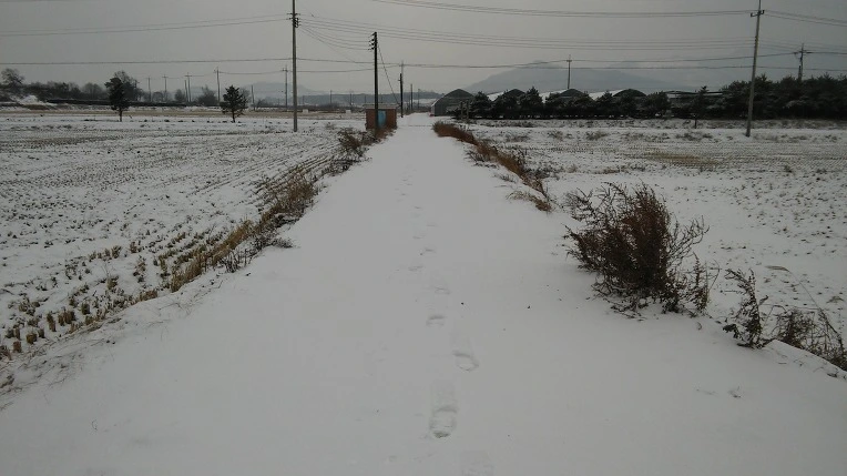 23529D39588189502165EC