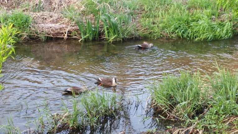 224BDF4D5717E91C24A0B9