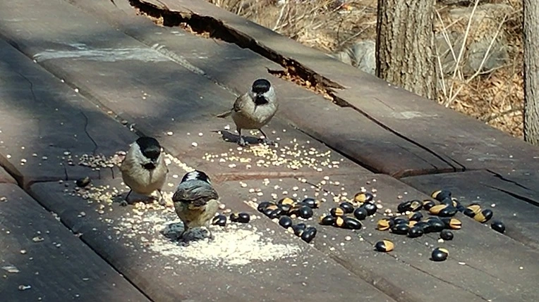 990413495C8861F0102DED