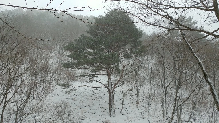 99AA0C475CB62C6F0AA622