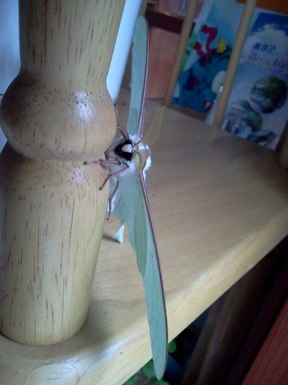 1435A3594E06D192378CAB