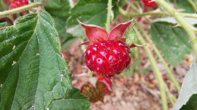 2716F839576750A11F2318