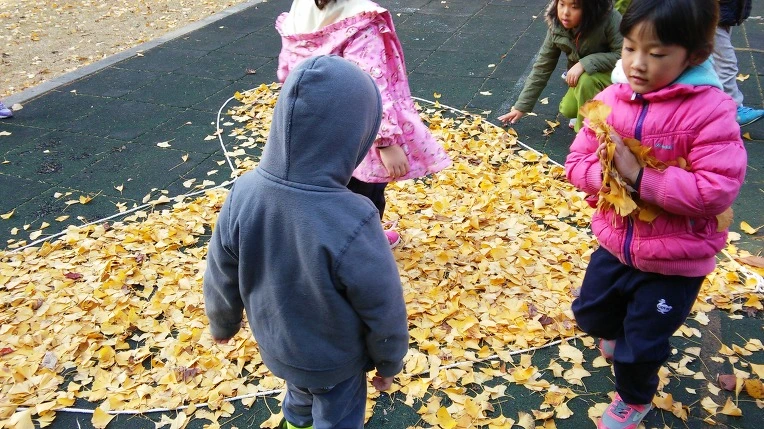 257EE3365631ACF60D957A