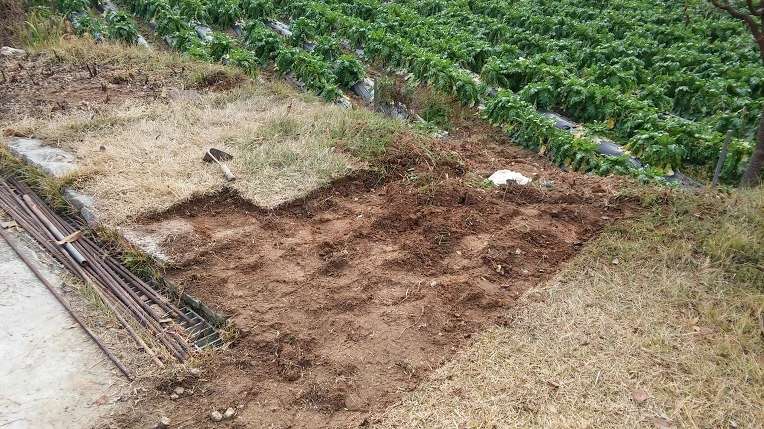 2343B534582A345F15CBF5