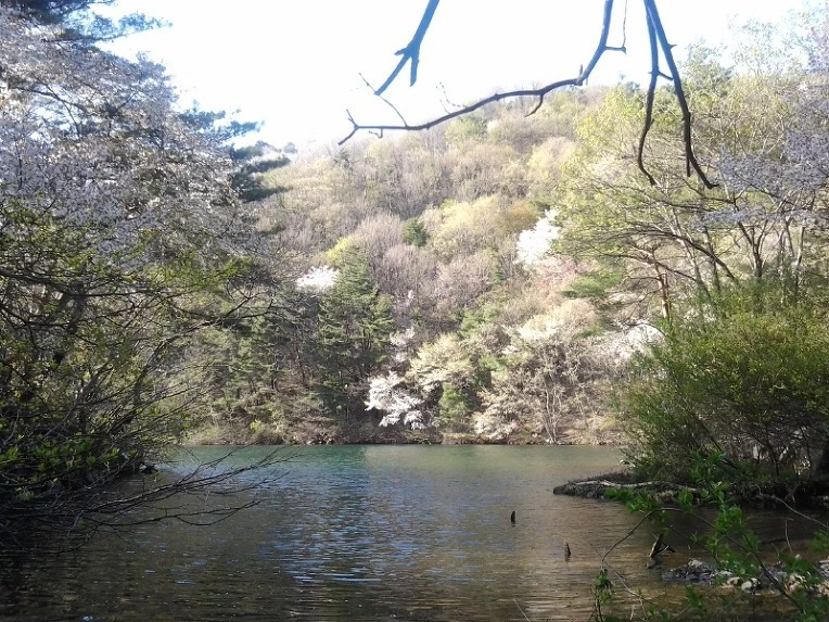 99D026355EA2433030F3C2