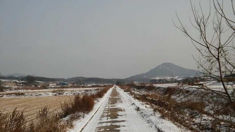 257083375881ABE5256A3D