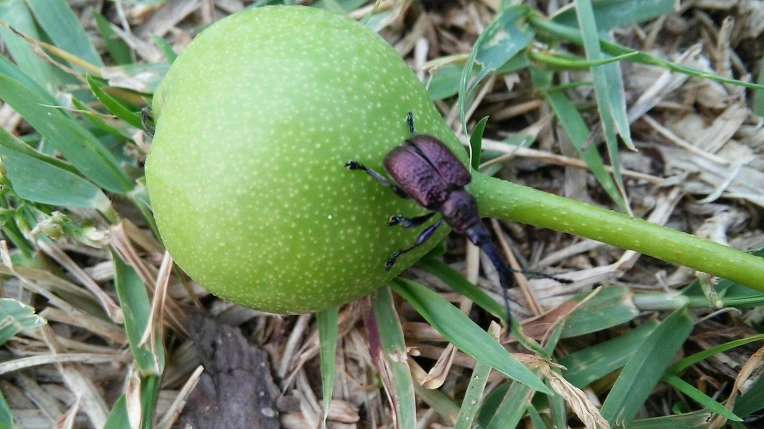 2750B2445745886A15E508