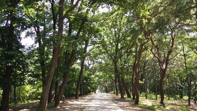 2643AE4257AA8B9233C063