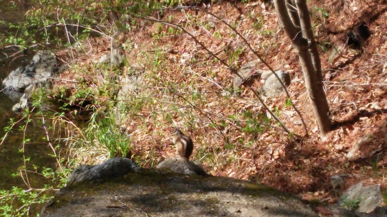 2601633758FBF7DB0EFB90