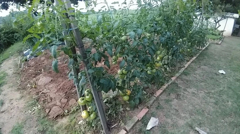 995EDC445B3D587420D7D6