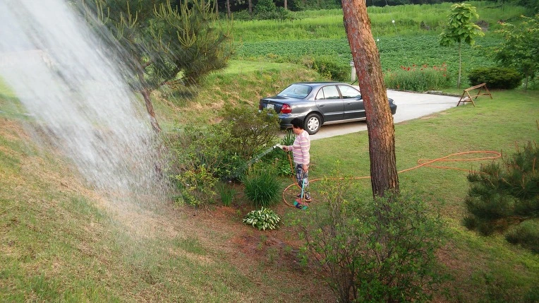 213DCF3B57649BF8243EB5