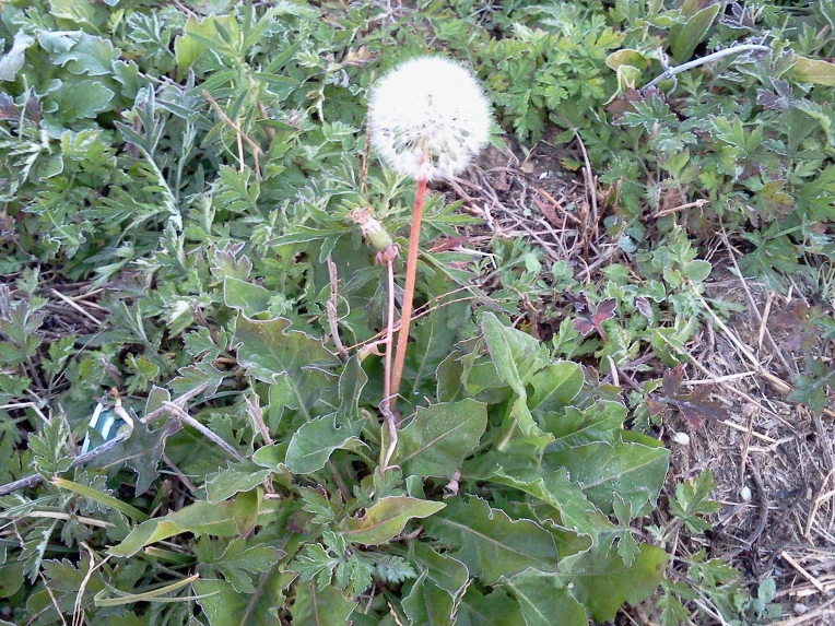 0377F1425093602D130F4F