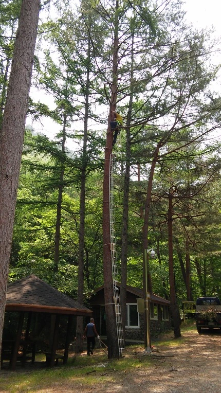 2335704559300A380C9D44