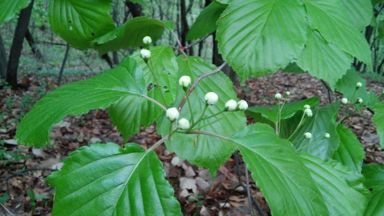 222C994F571AD0B60B8C3E