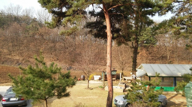 2715634556FC8C11355955