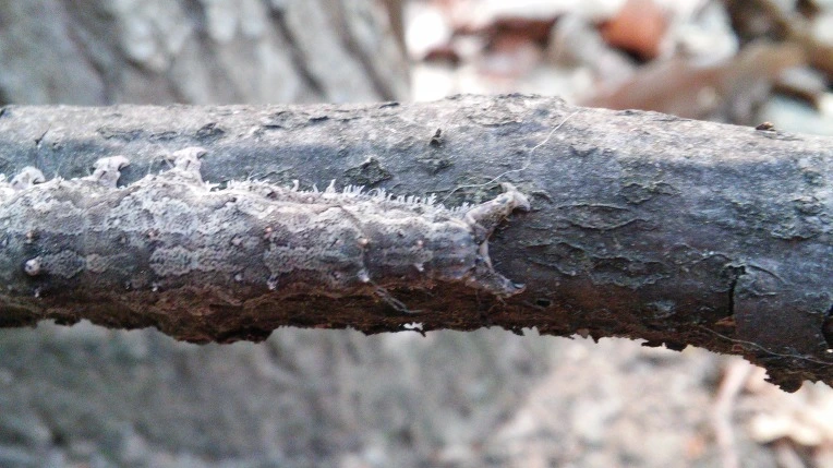 2564204B5722BCD1280B5B