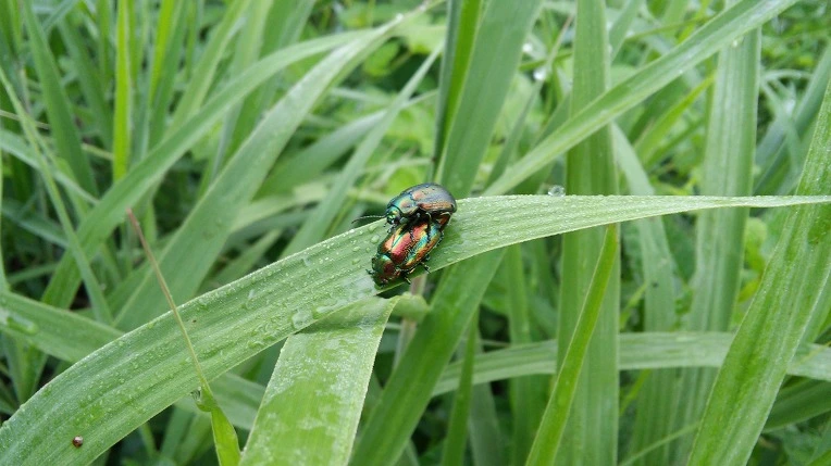 213CAF405770716F176720