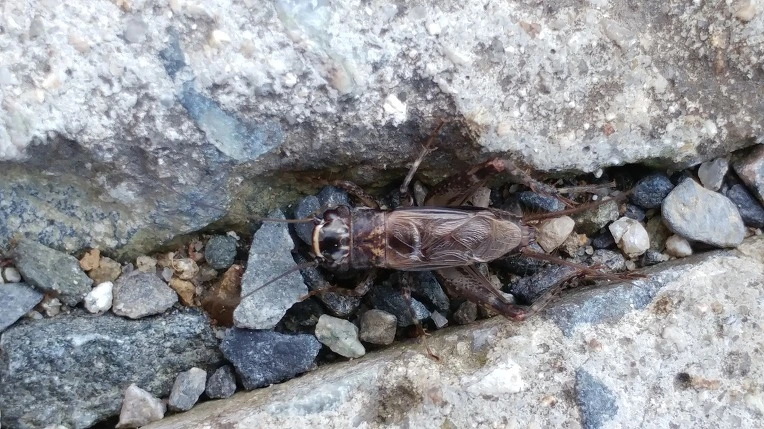 9966C0355BD6AE53193938