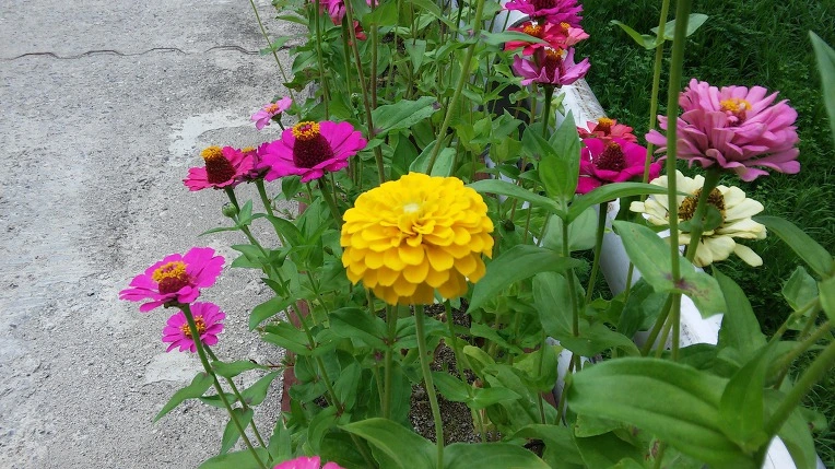 99790333599E27A7032FA0