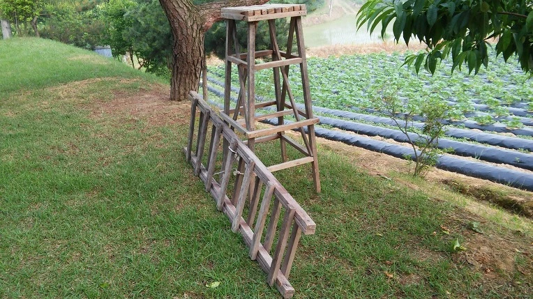 26176641574E521D01CEBB