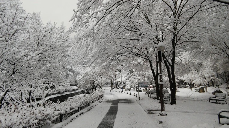 2275EC3C565F93E6245C81