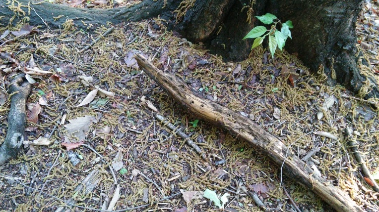 27048F4D57292CDA208341