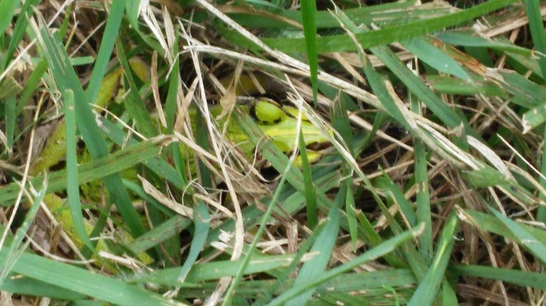 2653873557D665C114CEF5