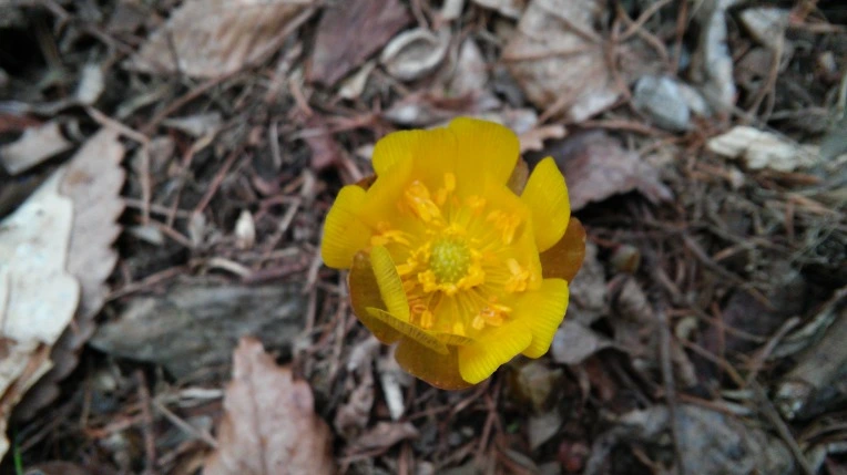 2524794056D108742B56B5